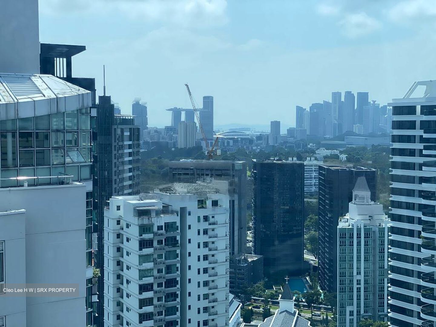 Residences @ Evelyn (D11), Condominium #564656921